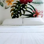 Mi Alegria Studio