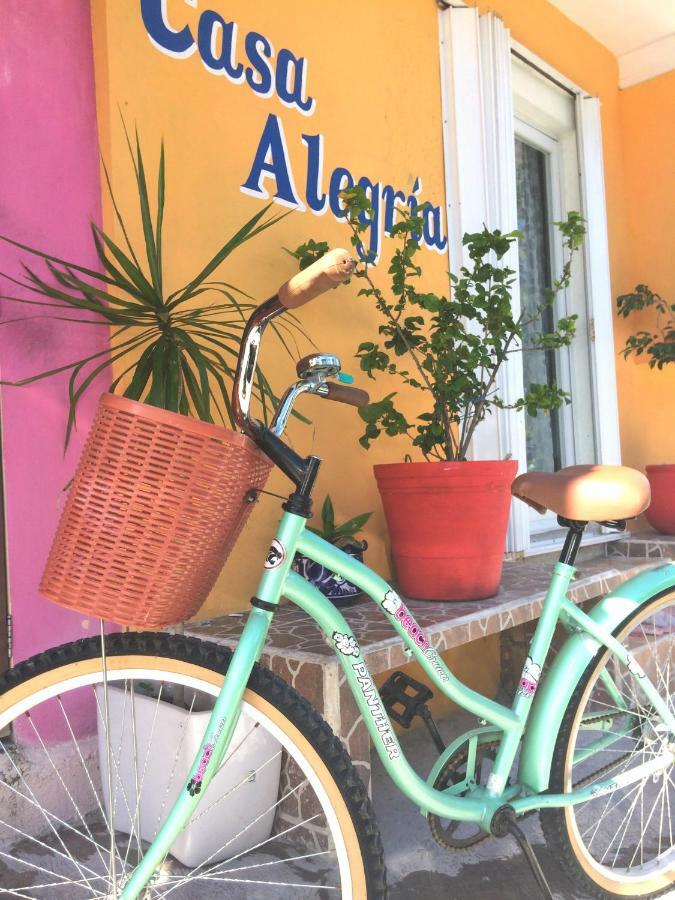 Mi Alegria Studio Apartamento Isla Mujeres