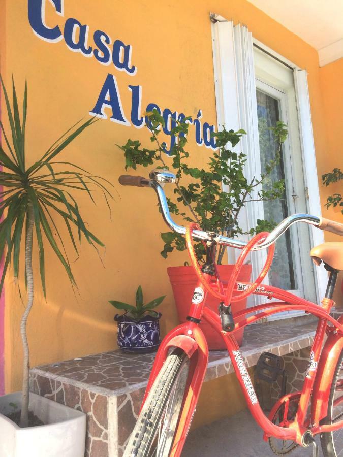 Apartamento Mi Alegria Studio