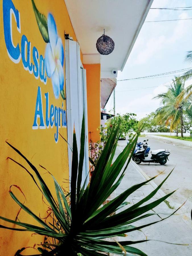 Mi Alegria Studio * Isla Mujeres